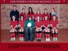 2008-U17-District-girls