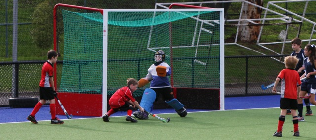 Under 12 Pennant 2014