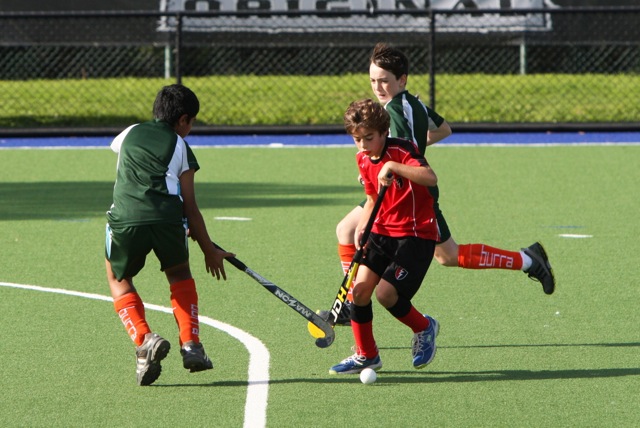 Under 12 Shield 2014