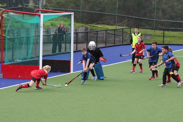 Under 10 Full Field 2014