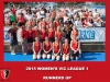 2015 Outdoor WVL1