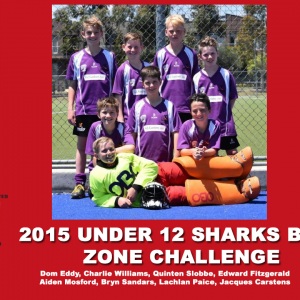 2015 Junior Sharks Under 12 Boys Zone Challenge