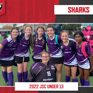 2022 2 Junior Sharks Under 13 Girls