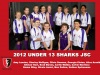 2012 Junior Under 13 Sharks