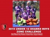 2015 Junior Sharks Under 12 Boys Zone Challenge
