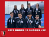 2021 2 Junior Sharks Under 13 Boys Bronze